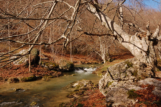 Montes de Vitoria (Okina)