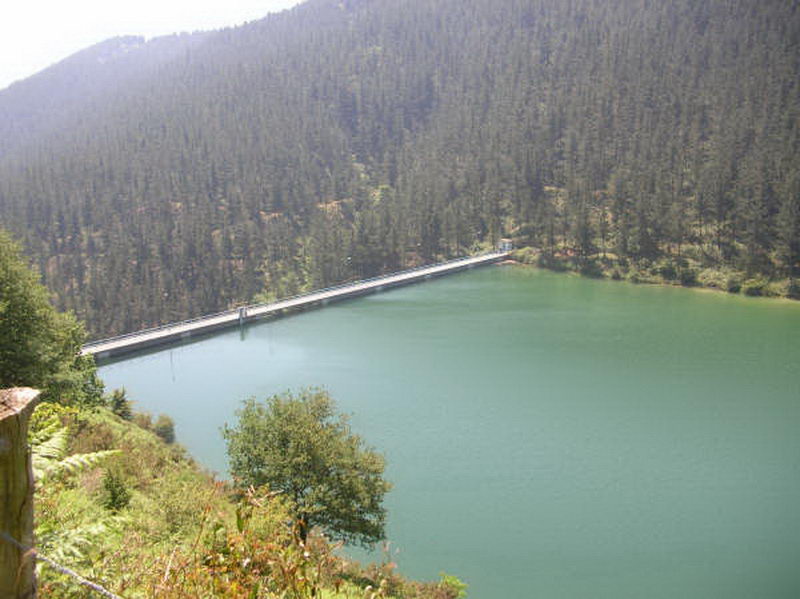 Oiola